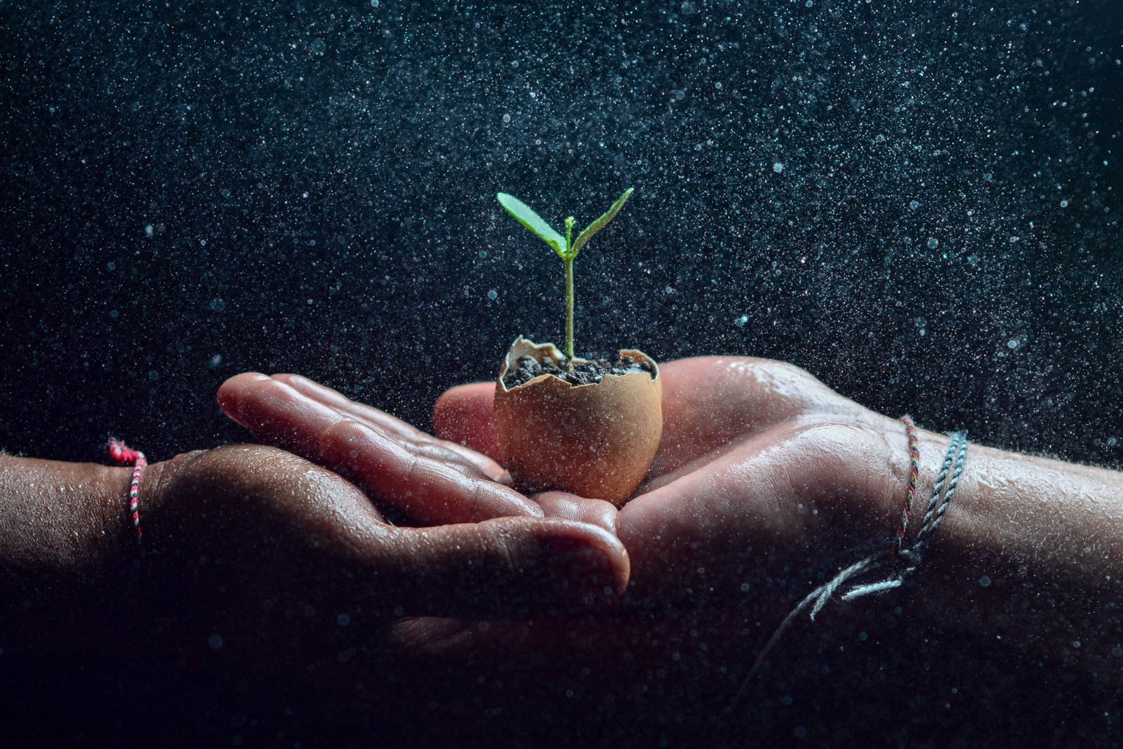 Personal Growth